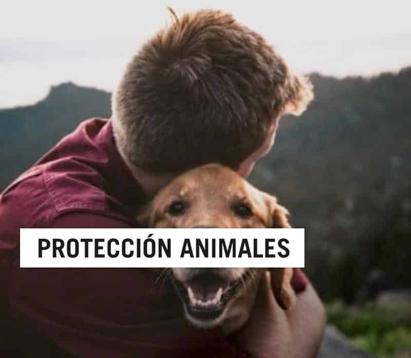 Protección animales
